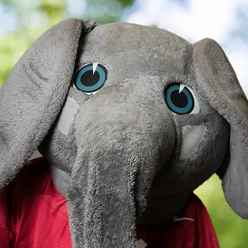 Big Al, no profile image available