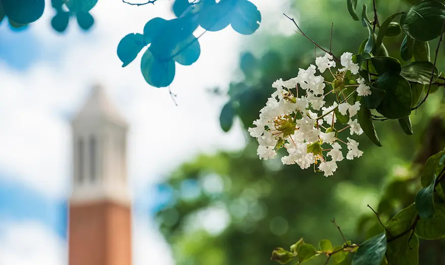Flowers near Denny Chimes